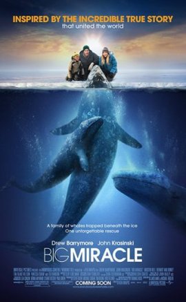 Büyük Mucize – Big Miracle Türkçe Dublaj izle