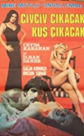 Civciv Çıkacak Kuş Çıkacak izle