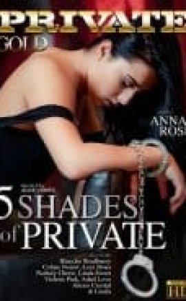 Özel 5 Tonları – 5 Shades Of Private 2016 Erotik Film izle